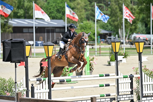  | 29062025 Springen CCI3 L _119 