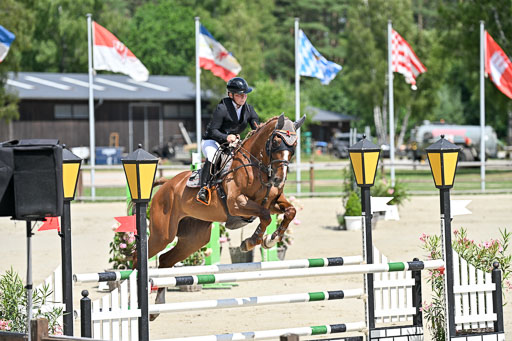  | 29062025 Springen CCI3 L _120 