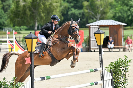  | 29062025 Springen CCI3 L _121 