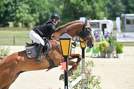  | 29062025 Springen CCI3 L _123 