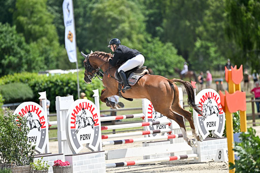  | 29062025 Springen CCI3 L _124 