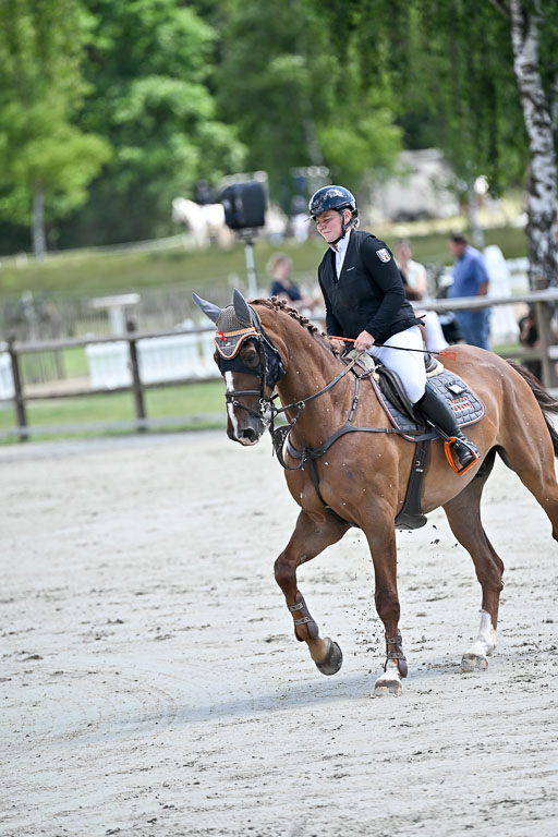  | 29062025 Springen CCI3 L _126 