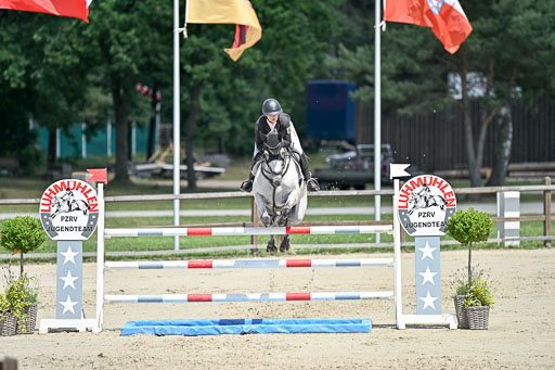  | 29062025 Springen CCI3 L _130 