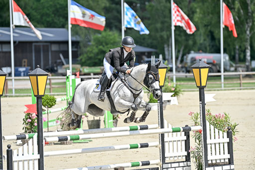  | 29062025 Springen CCI3 L _135 