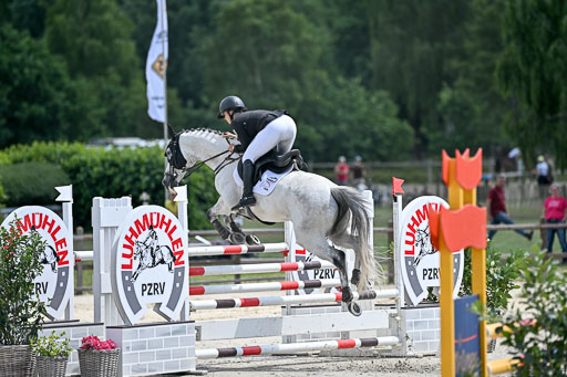  | 29062025 Springen CCI3 L _137 