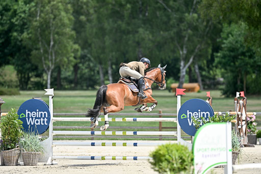  | 29062025 Springen CCI3 L _139 