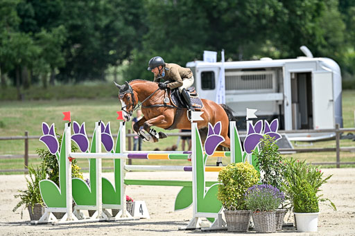  | 29062025 Springen CCI3 L _140 