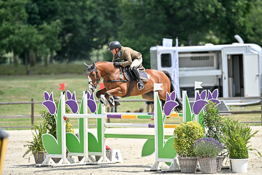  | 29062025 Springen CCI3 L _141 