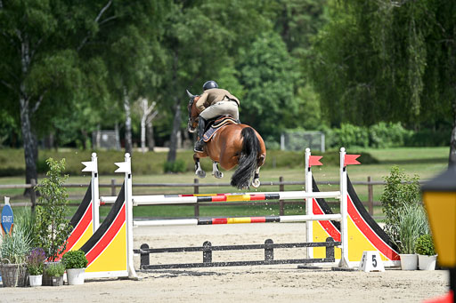  | 29062025 Springen CCI3 L _143 