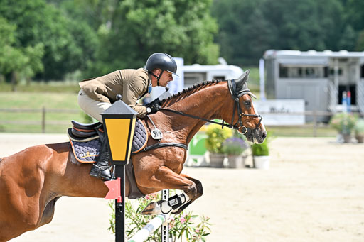  | 29062025 Springen CCI3 L _147 