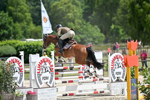  | 29062025 Springen CCI3 L _148 