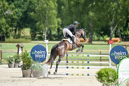  | 29062025 Springen CCI3 L _149 