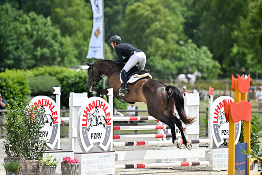  | 29062025 Springen CCI3 L _156 