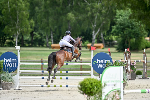  | 29062025 Springen CCI3 L _158 