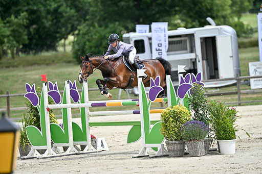  | 29062025 Springen CCI3 L _159 