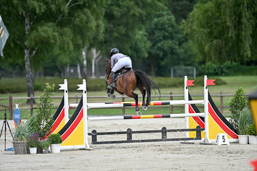  | 29062025 Springen CCI3 L _160 