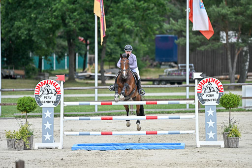  | 29062025 Springen CCI3 L _161 