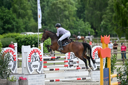  | 29062025 Springen CCI3 L _166 