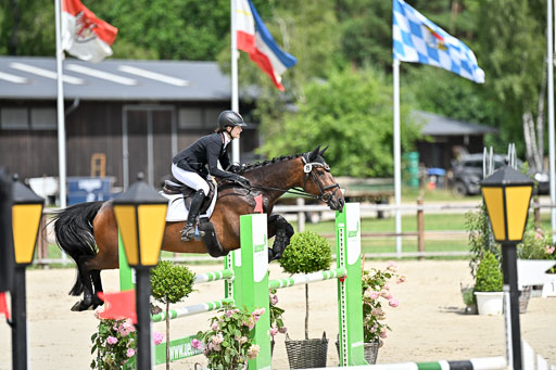  | 29062025 Springen CCI3 L _167 