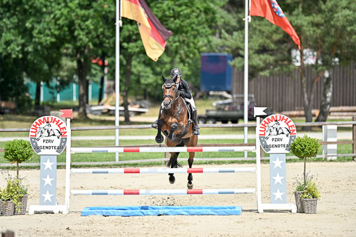  | 29062025 Springen CCI3 L _170 