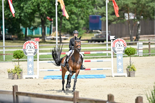  | 29062025 Springen CCI3 L _172 