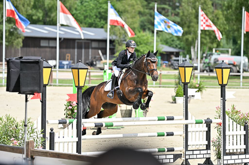  | 29062025 Springen CCI3 L _173 