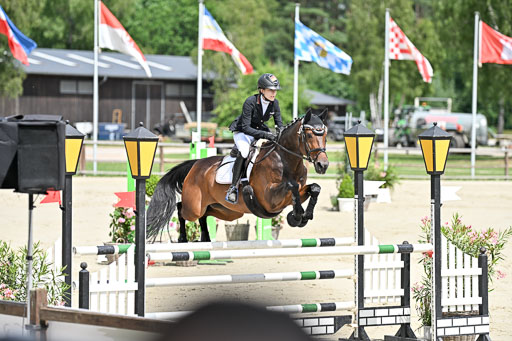  | 29062025 Springen CCI3 L _174 