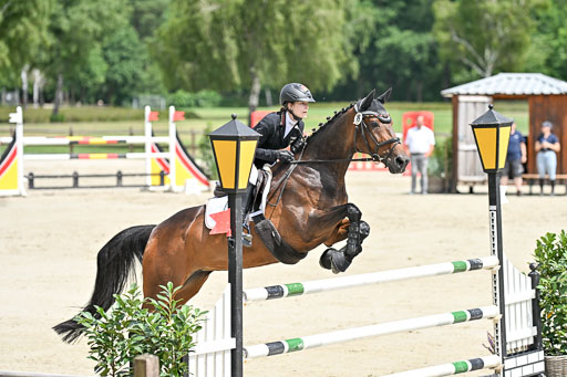  | 29062025 Springen CCI3 L _175 