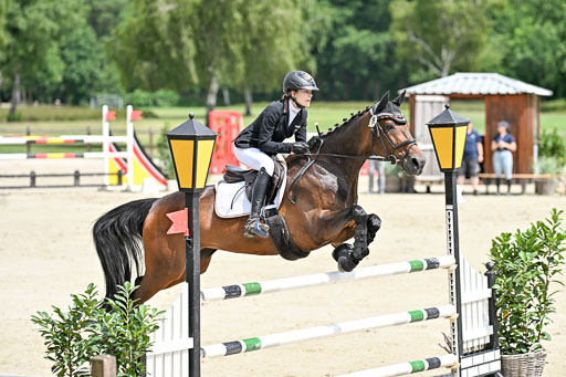  | 29062025 Springen CCI3 L _176 