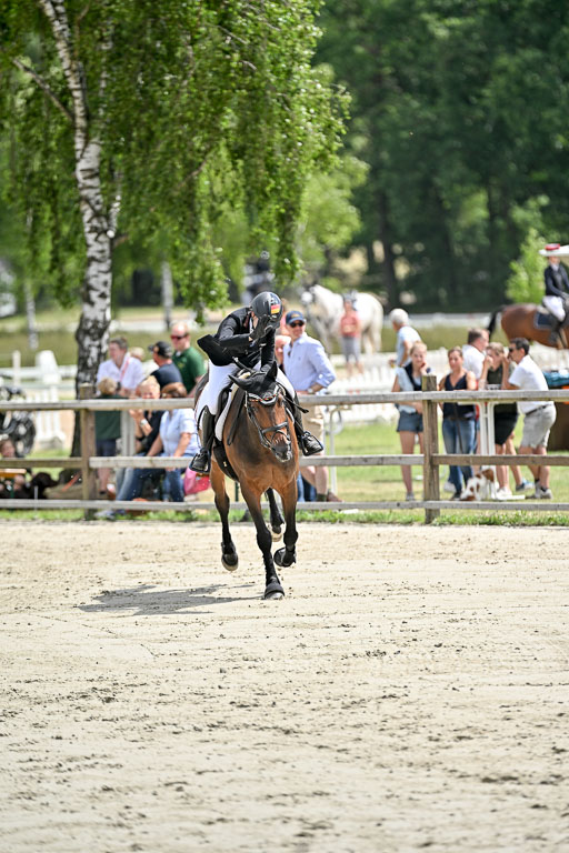  | 29062025 Springen CCI3 L _177 