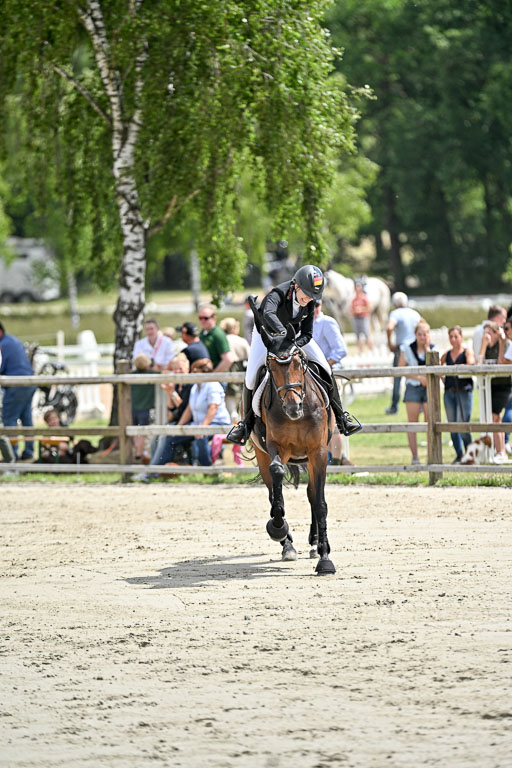  | 29062025 Springen CCI3 L _178 