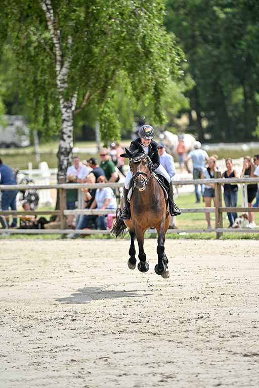  | 29062025 Springen CCI3 L _179 