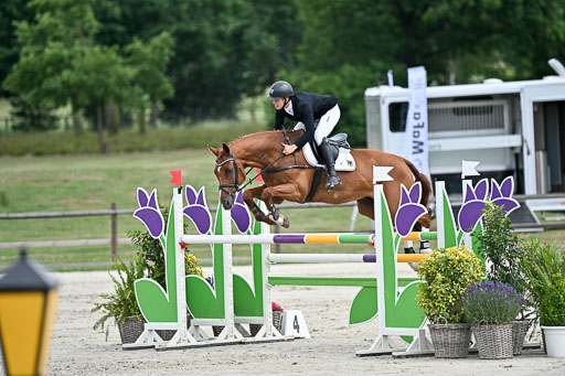  | 29062025 Springen CCI3 L _186 