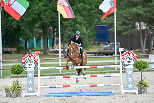  | 29062025 Springen CCI3 L _187 