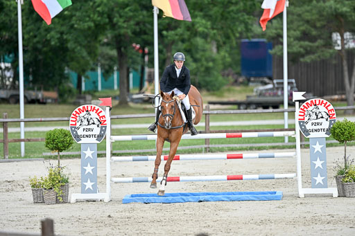  | 29062025 Springen CCI3 L _188 