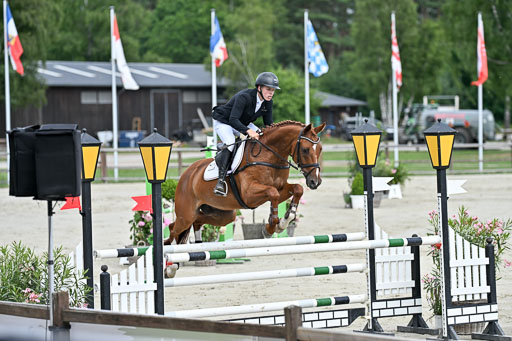  | 29062025 Springen CCI3 L _190 