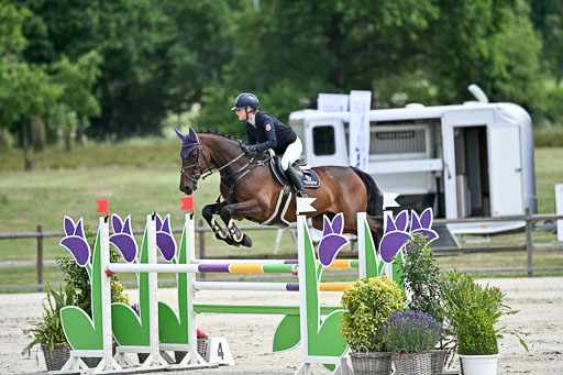  | 29062025 Springen CCI3 L _193 