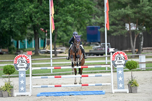  | 29062025 Springen CCI3 L _194 