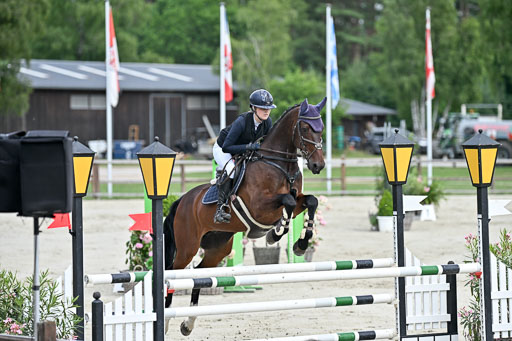  | 29062025 Springen CCI3 L _196 