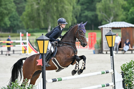  | 29062025 Springen CCI3 L _198 