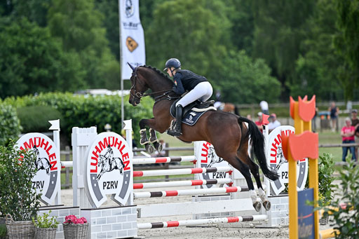  | 29062025 Springen CCI3 L _199 