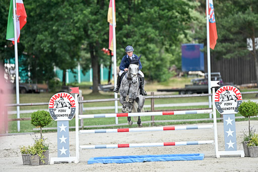  | 29062025 Springen CCI3 L _202 
