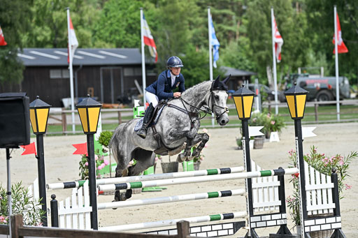  | 29062025 Springen CCI3 L _203 