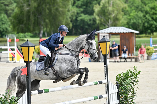  | 29062025 Springen CCI3 L _205 