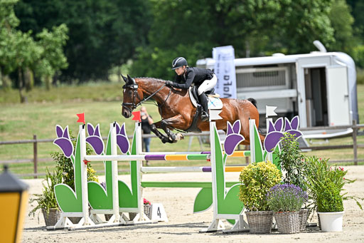  | 29062025 Springen CCI3 L _208 