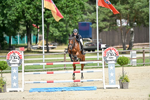  | 29062025 Springen CCI3 L _209 