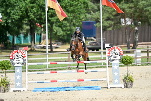  | 29062025 Springen CCI3 L _210 