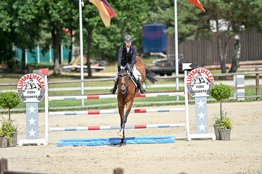  | 29062025 Springen CCI3 L _211 