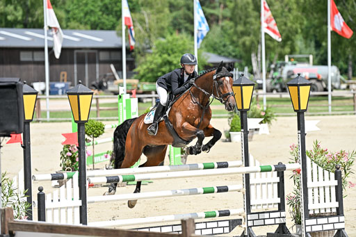  | 29062025 Springen CCI3 L _212 