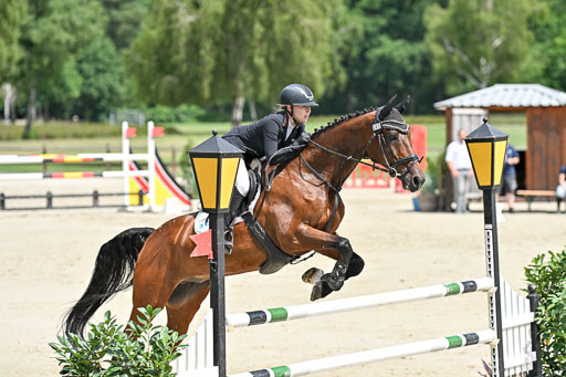  | 29062025 Springen CCI3 L _213 